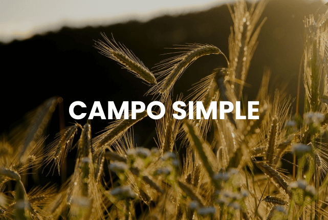 campo-simple