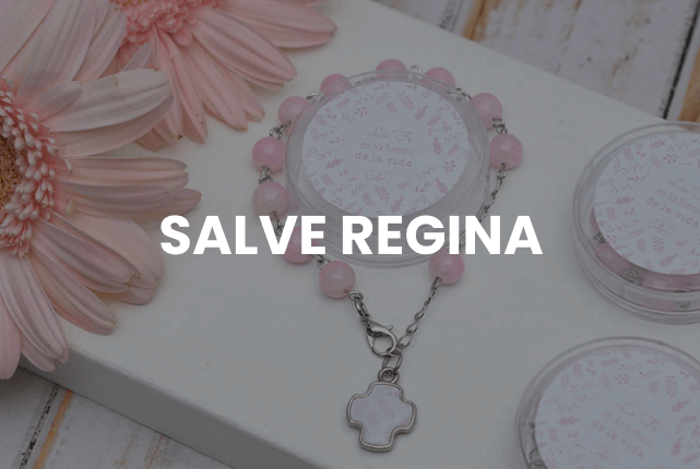 shopify-salve-regina